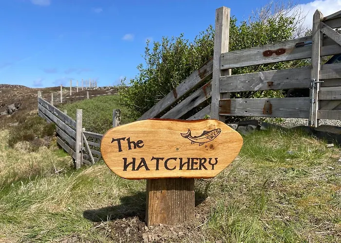 The Hatchery