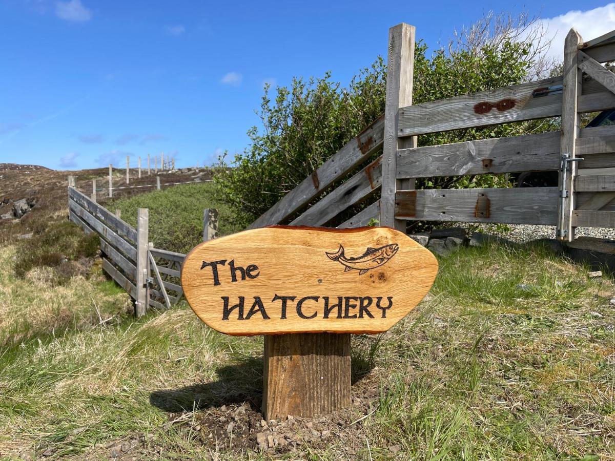 The Hatchery