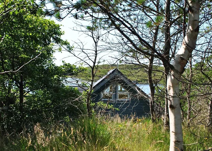 The Hatchery